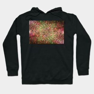 Colorful bright fireworks against dark sky Hoodie